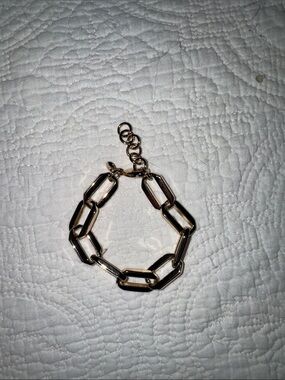 J. Crew Factory Gold Link Chain Bracelet